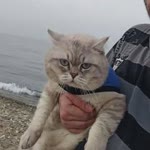İsmail