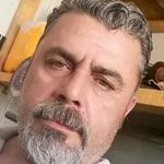 Bulut