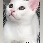 Özlem
