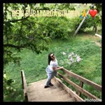 Hande