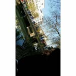 Açelya