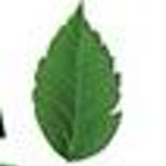 Sevcan