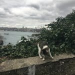 Esma