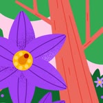 Smy