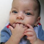Fidan