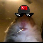 Mmi