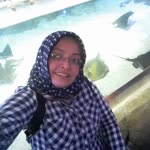 Reyhan