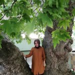 Fatma