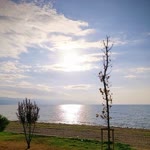 İlknur