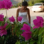 Emine