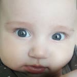Ayla