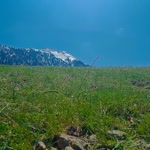 Servet