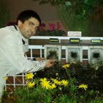 Nihat