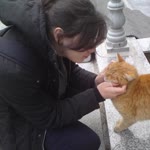 Merve