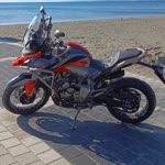 Umut