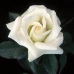 Emrah