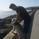 Sedat
