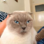 Gökhan