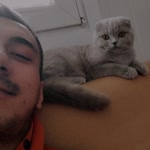 Ertuğrul