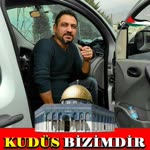 Onder