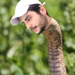 İlke