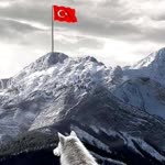 İsimsiz