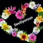Servet