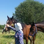 Ayten
