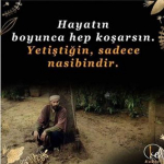 Erol