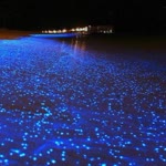 Sea
