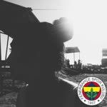 Ayşenur