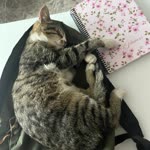 Melih