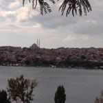 Umut