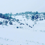 Nurtekin