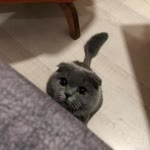 Nadir