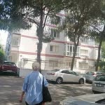 Neşe