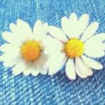 Arzu