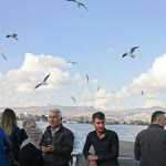 Hasan