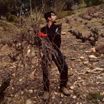 Berke