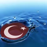 Halil