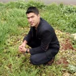 Murat