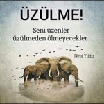 Serad