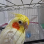 Ayda