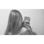 Cansu