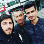 Doğan