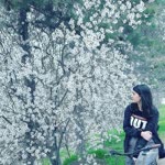 Emine