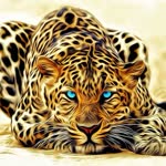 Enes