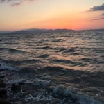 Şükran