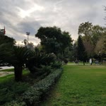 Yiğit