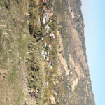 Neslihan